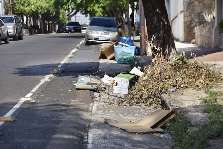 Basura, árboles caídos, baches, entre otros, se pueden ver en la bicisenda Iturbe.