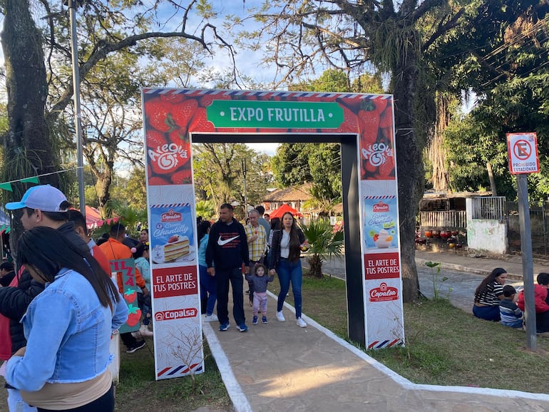 Muchas personas asistieron este domingo a la feria de la frutilla.