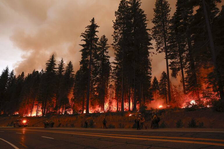 Los árboles arden en el incendio en un parque, que ha quemado más de 353.194 acres según el Departamento de Silvicultura y Protección contra Incendios de California (Cal Fire), en el condado de Tehama, California, EE.UU.