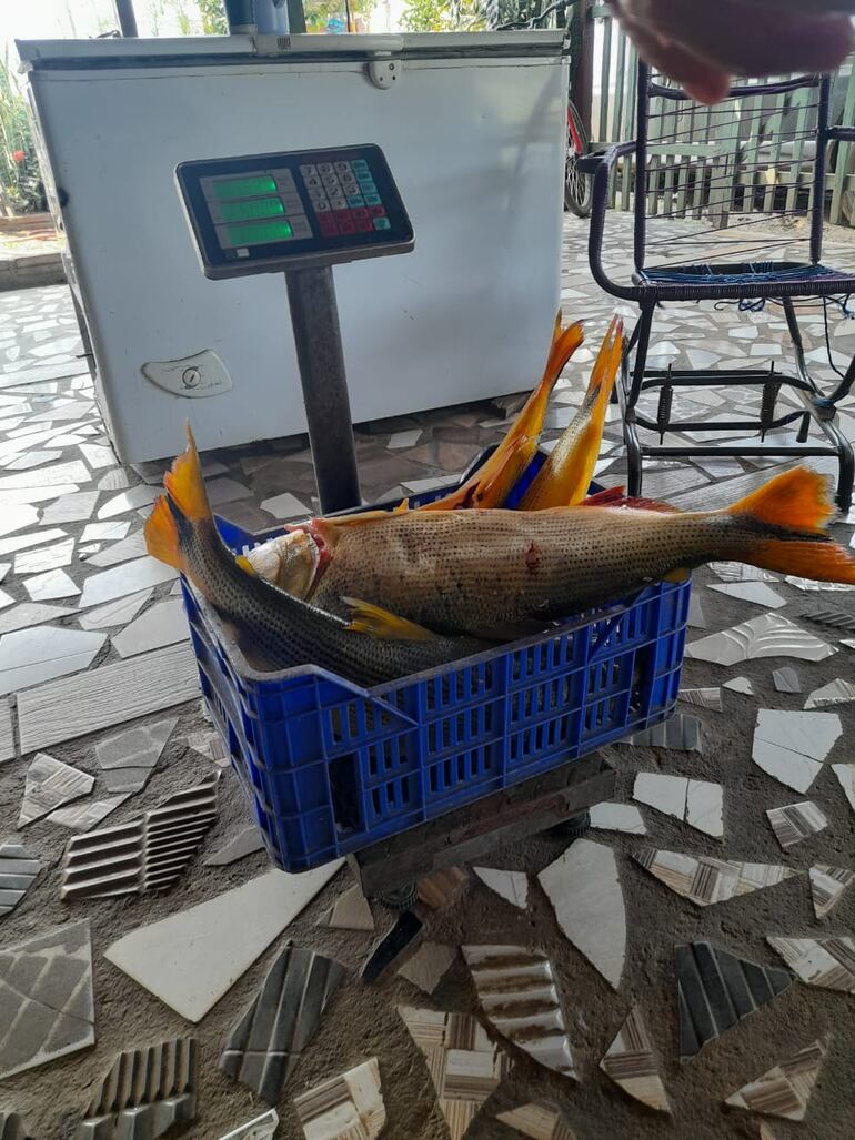 Pescaderías tienen un plazo de 10 días para comercializar sus productos en stock.