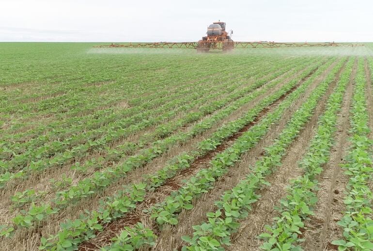 La aplicación de productos  puede marcar el éxito  de un cultivo, principalmente cuando hay mucha presión de enfermedades.