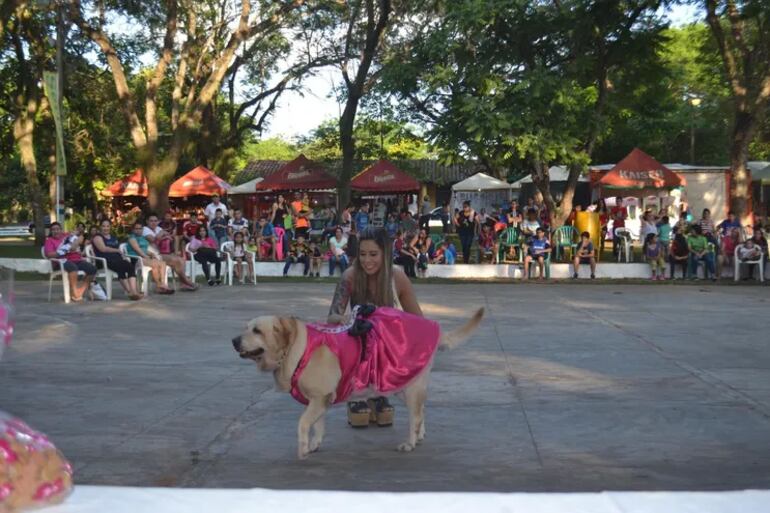 Bendición de mascotas, exhibición de Canes y concierto.