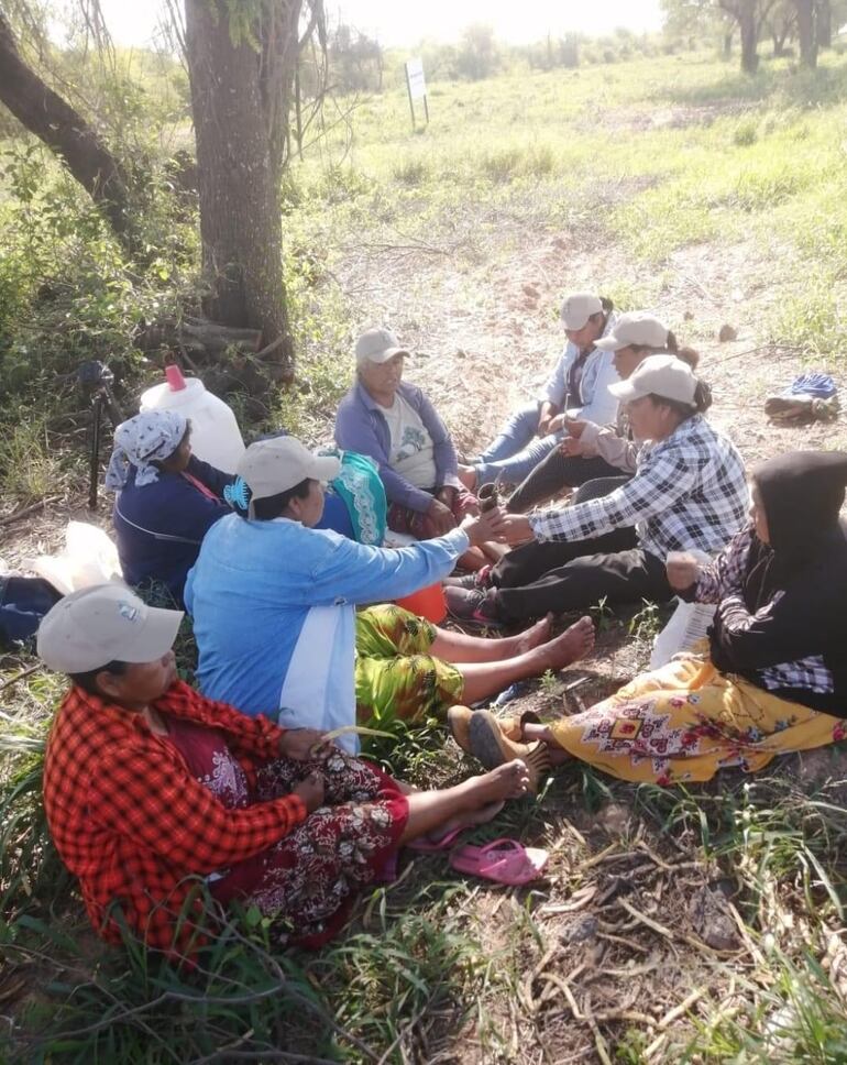 El trabajo de las mujeres comienza muy temprano, cuando aún no hace demasiado calor y se extiende hasta la tarde, cuando sus bolsas están con las algarrobas suficientes.