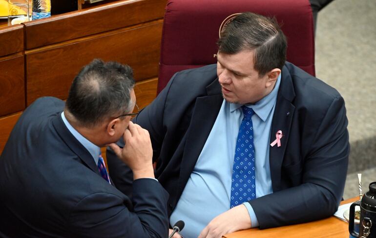 Los senadores Gustavo Leite (ANR, cartista) y Dionisio Amarilla conversan animadamente en la Cámara de Senadores.