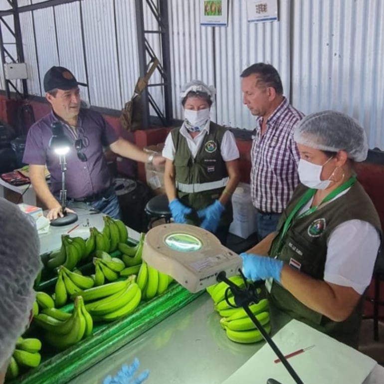 El titular del Senave, Pastor Soria, con el director técnico del ente, Alfredo Gryciuk, durante la verificación técnica.