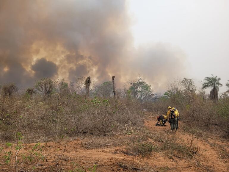 Funcionarios de la SEN, Mades y bomberos trabajan en la reserva natural Chovoreca, mientras el fuego avanza sobre su superficie.