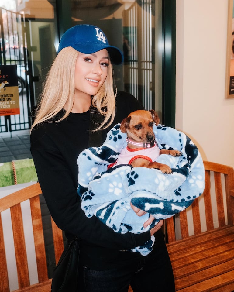 Paris Hilton adoptó a Zuzu, un perrito que se quedó sin hogar tras los incendios. (Instagram/Paris Hilton)