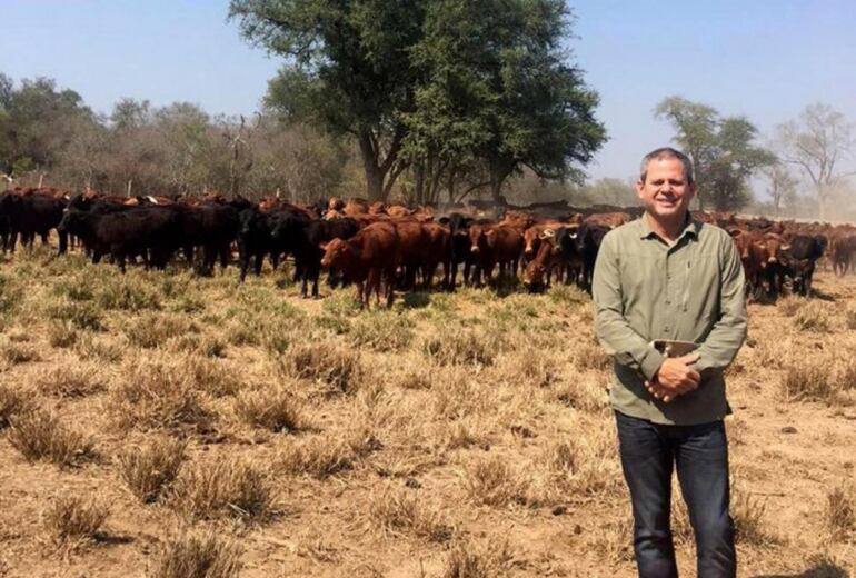 La Senabico recaudaba US$ 600.000 mensuales por las vacas decomisadas a Darío Messer.