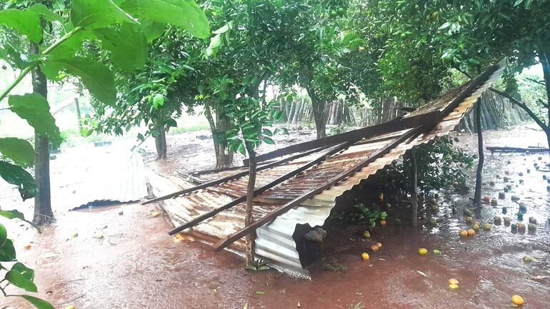 Los techos de chapas de zinc fueron levantados por la tormenta y quedaron a varios metros de las viviendas afectadas.