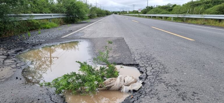 Este enorme bache fue “señalizado” con una rama de la maleza circundante para evitar que los conductores caigan en el pozo.