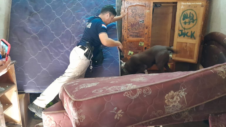 Personal de antinarcóticos de la Policía catea la casa con apoyo de un perro amaestrado para olfatear droga.