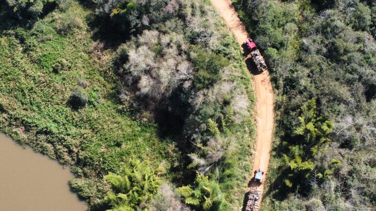 Los tractores operaron durante varias horas. Trasladaron la madera sacada del pleno corazón de la Reserva San Rafael. 