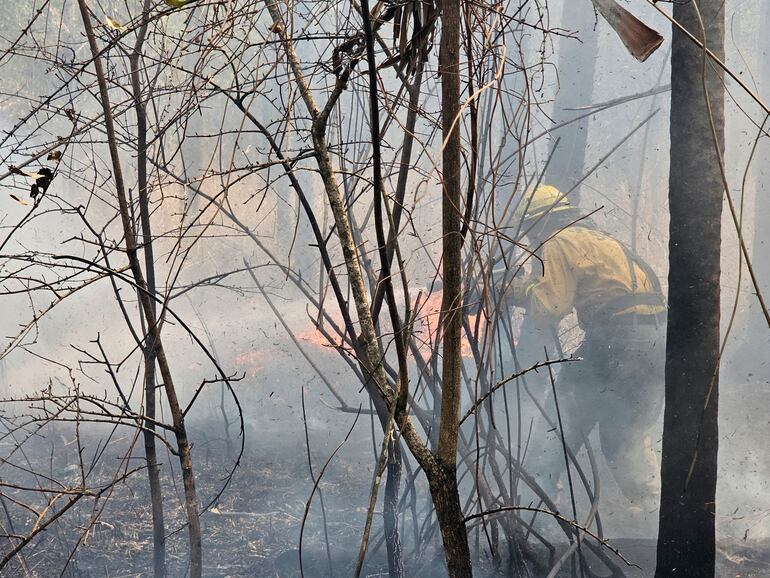 Un bombero en pleno combate al fuego, en la tarde de este sábado, en un establecimiento ganadero cerca de Fuerte Olimpo.