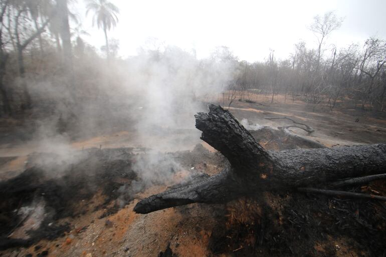 Fotografía que muestra una zona afectada por incendios forestales en Roboré (Bolivia). Los incendios forestales registrados en Bolivia ya alcanzaron las viviendas en dos comunidades del municipio de Roboré, en la región oriental de Santa Cruz, por lo que 48 personas tuvieron que ser evacuadas y trasladadas este jueves a un colegio que funciona como albergue.