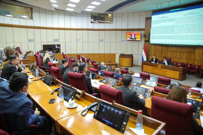 Audiencia Pública sobre la modificación de la Ley de Drogas.