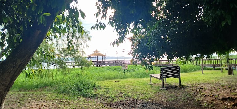 árboles y pasto, en frente el lago ypakarai y el muelle de la playa