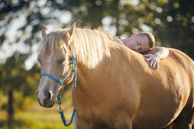 Hombre abraza a caballo de terapia.