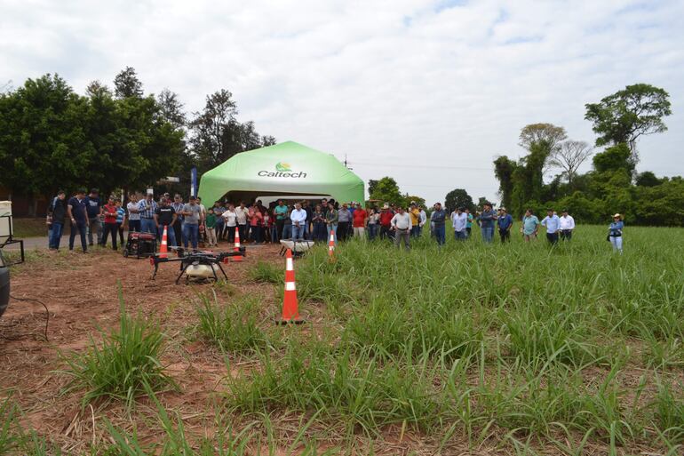 En la jornada sobre producción de caña de azúcar orgánica se hicieron demostraciones de cómo es la aplicación de productos con el uso de dron.