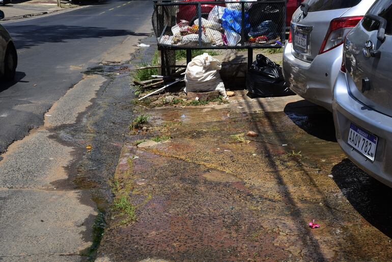 Aguas perdidas salen de una vereda en el barrio San Pablo. 