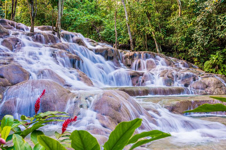 Las Cascadas del Río Dunn, Jamaica.