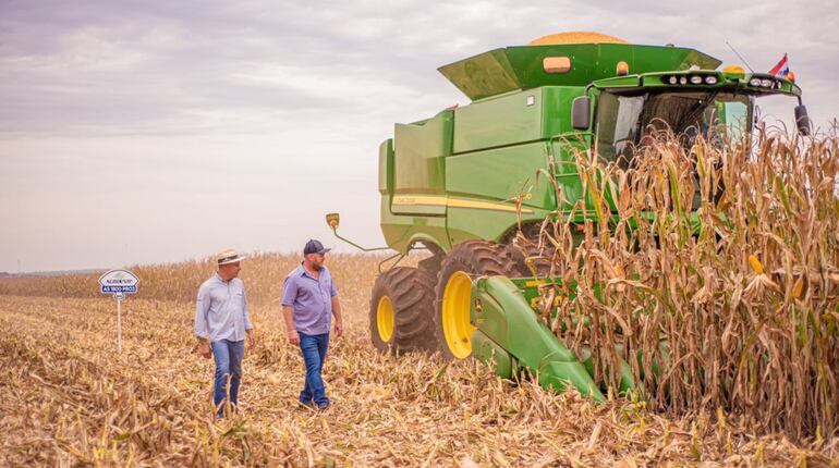 La empresa es un aliado de los agricultores, para que sus cultivos puedan ganar en eficiencia, competitividad y calidad internacional.