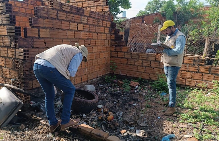 
La tarea de eliminación de los criaderos se extenderá hasta la tardecita de hoy 