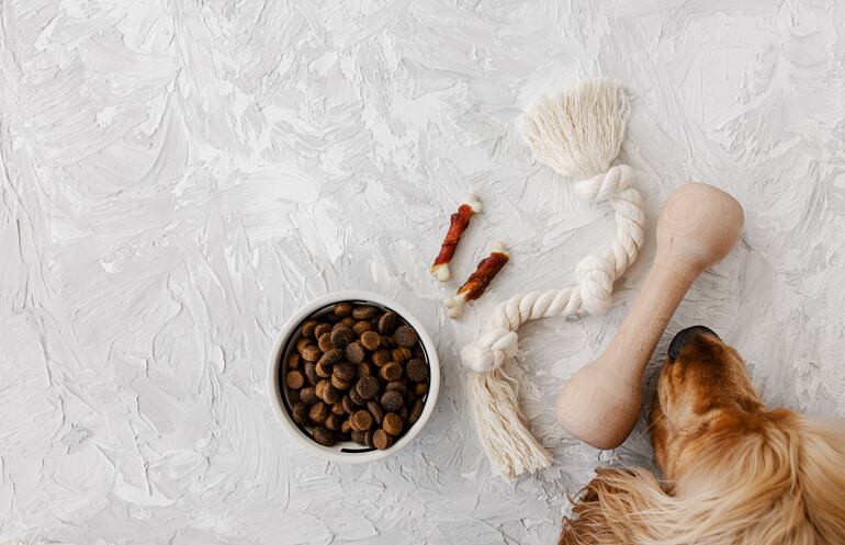 Perro con juguetes ecológicos.