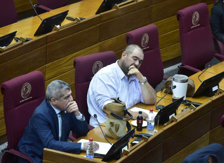 Los diputados Héctor "Bocha" Figueredo y Jatar "Oso" Fernández, en la pasada sesión de la Comisión Garrote.