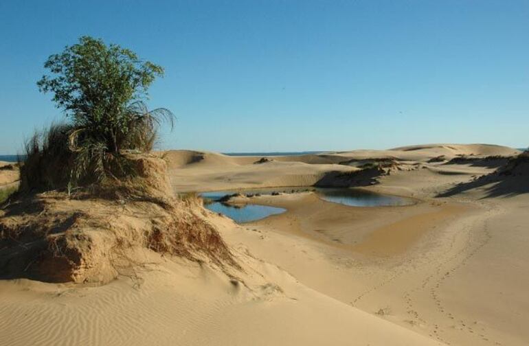 Fueron una formación natural única en nuestro país, compuestas principalmente por arena fluvial y cuarzo. En sus mejores tiempos se extendía unos 2 km a lo largo del río y tenía entre 10 y 20 m de altura.