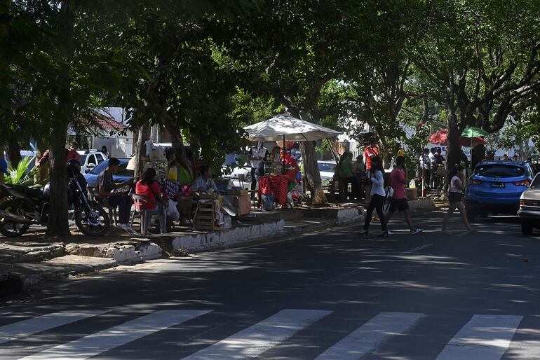 Los paseos centrales arbolados hermosean la ciudad y traen numerosos beneficios. 