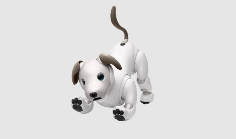 Sony ha anunciado el lanzamiento de un programa de recuperación de sus perros robots Aibo ERS-1000, con el que espera darles una segunda vida una vez sus usuarios los hayan desechado y que se puedan utilizar en centros e instituciones médicas.