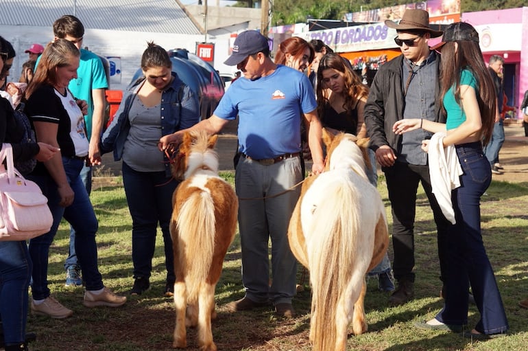 Expo Santa Rita espera miles de visitantes nuevamente.