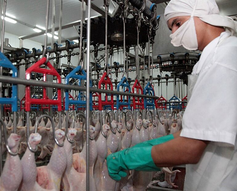 La exportación de carne de pollo ingresó unos US$ 12,8 millones durante el 2023.