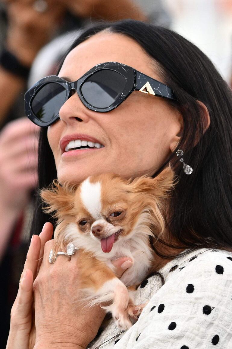 Pilaf, la adorada mascota de Demi Moore, sonríe a los fotográfos apostados en Cannes. (CHRISTOPHE SIMON / AFP)