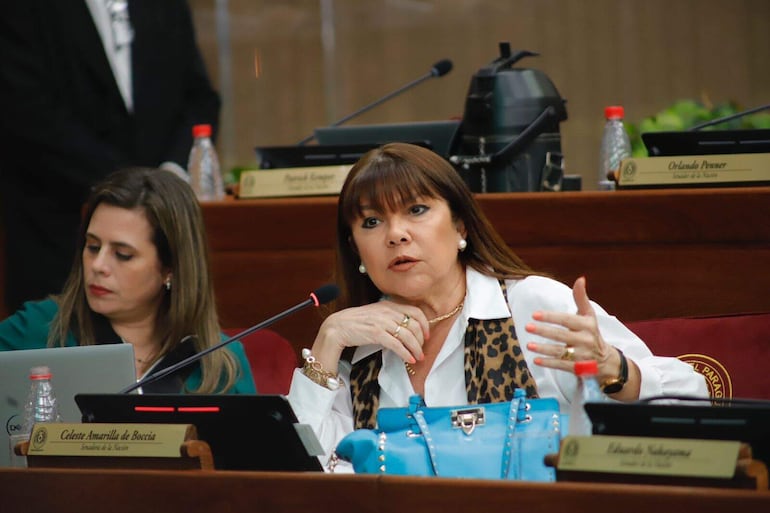 La senadora Celeste Amarilla (PLRA) mencionó una serie de irregularidades del proyecto de ley que crea la superintendencia de jubilaciones y pensiones.