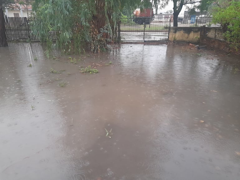 Varios patios de viviendas quedaron literalmente inundados tres las lluvias de hoy.