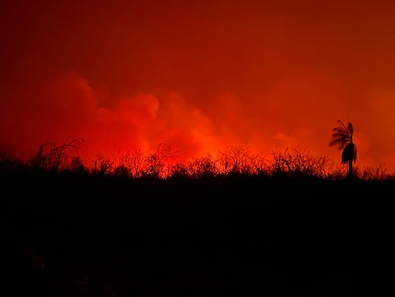 Así se veía el fuego en la reserva Chovoreca.