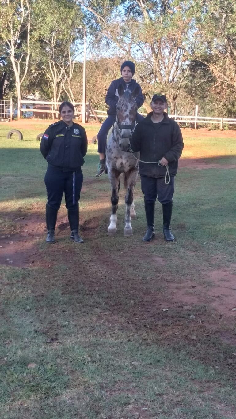 Los caballos que pasan a la jubilación reciben un trato adecuado y deben seguir realizando actividades físicas acordes con su edad.