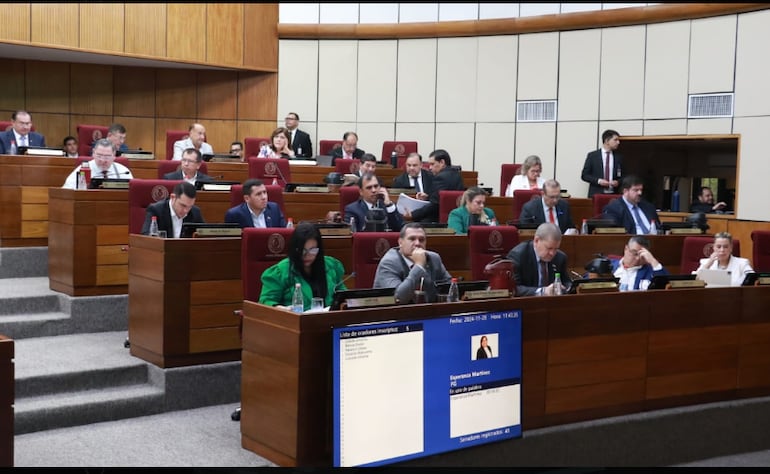 Sesión de la Cámara de Senadores (foto divulgada por el Senado).