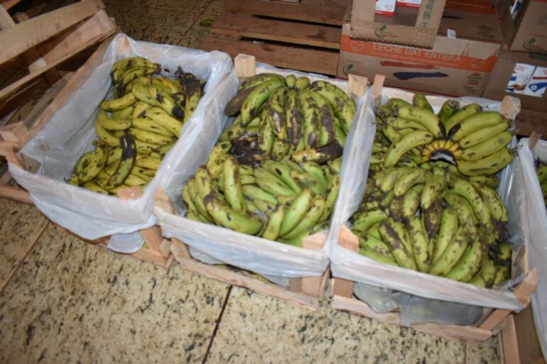 Gran parte de las bananas entregadas en la escuela Cerro Corá estaban en un estado avanzado de maduración, incluso en mal estado.