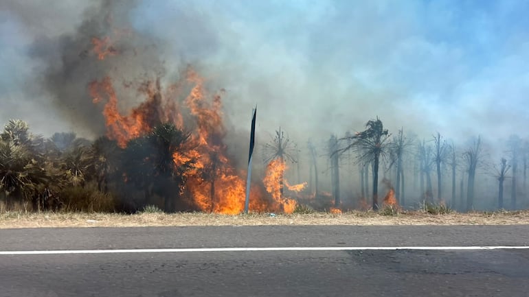 De nuevo se reporta incendio cerca del peaje de ruta Luque-San Bernardino