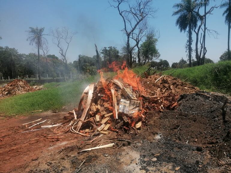 La carga de marihuana prensada fue incinerada en Minga Guazú.