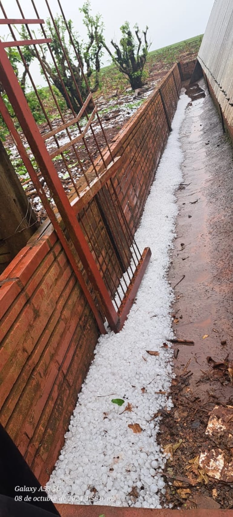 Tormentas en Itapúa: cabezas de ganado muertas, cultivos dañados y viviendas quedaron con estragos.