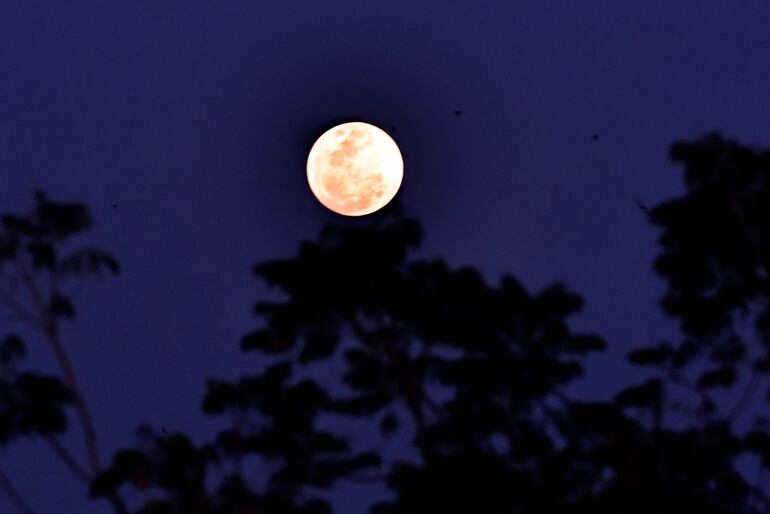 Una luna llena o plenilunio en agosto.