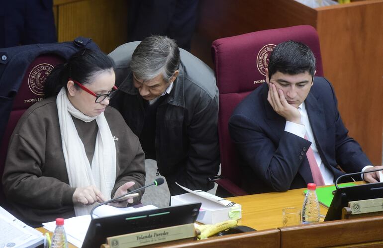 Sesión del Senado con Yolanda Paredes, José Ledesma y José Oviedo.