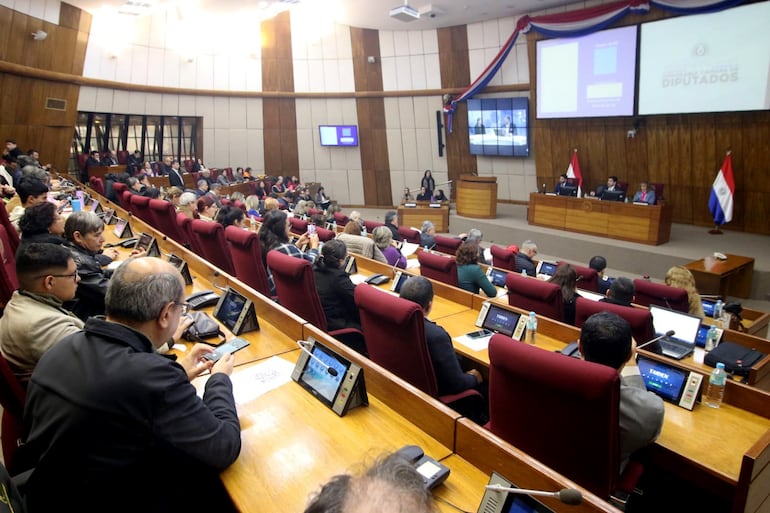 Debate público sobre proyecto de ley cartista anti-ONG.