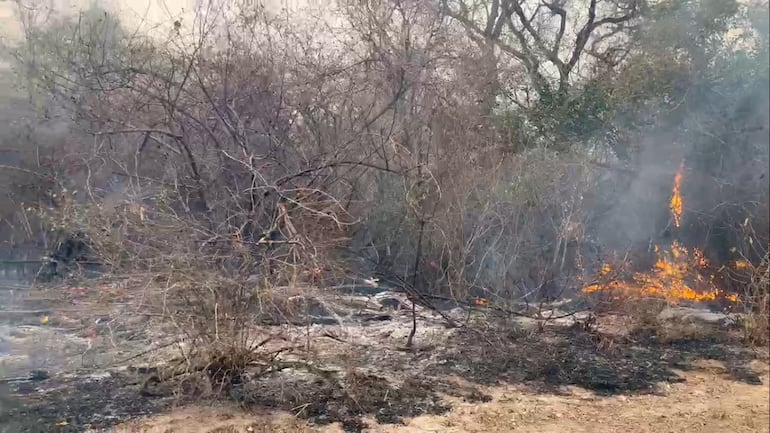 Unas cien mil hectáreas ya fueron consumidas por el fuego en la zona de la reserva natural Chovoreca, frontera con Bolivia.