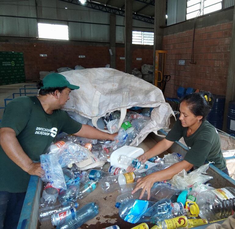 Recicladores trabajando para separar las botellas de plástico depositadas en los ecopuntos.