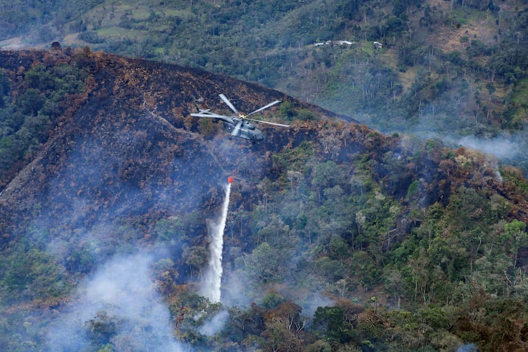 Los incendios forestales que se han desatado en la última semana en la Amazonía peruana y otras regiones del país han provocado la muerte de 15 personas.