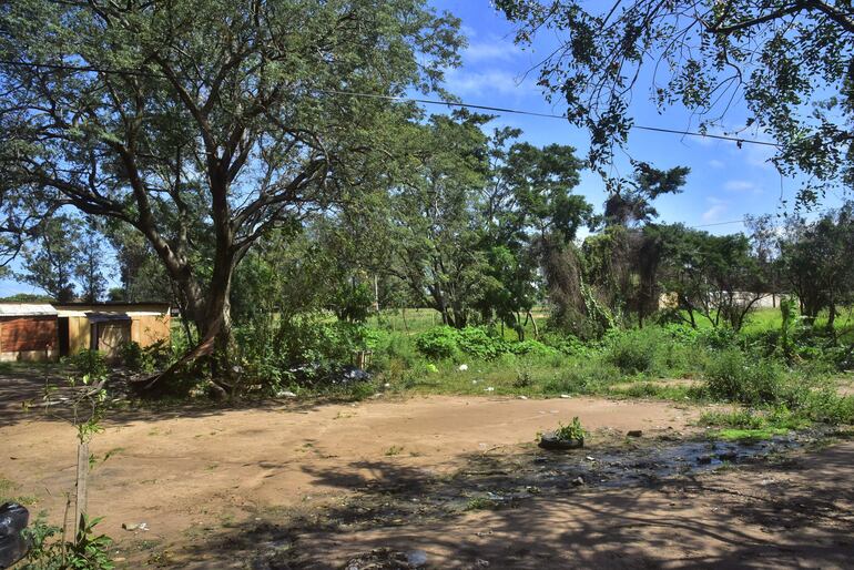 En el refugio municipal, situado al lado del RC4, urgen limpieza.